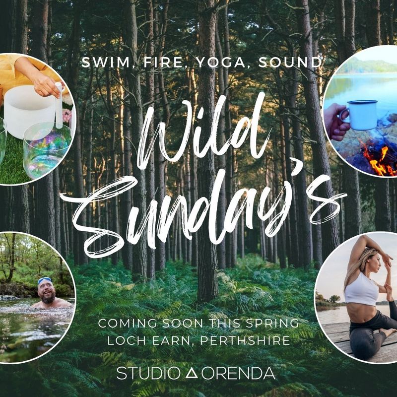 Wild Sundays - Starting Soon